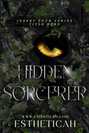 Hidden Sorcerer