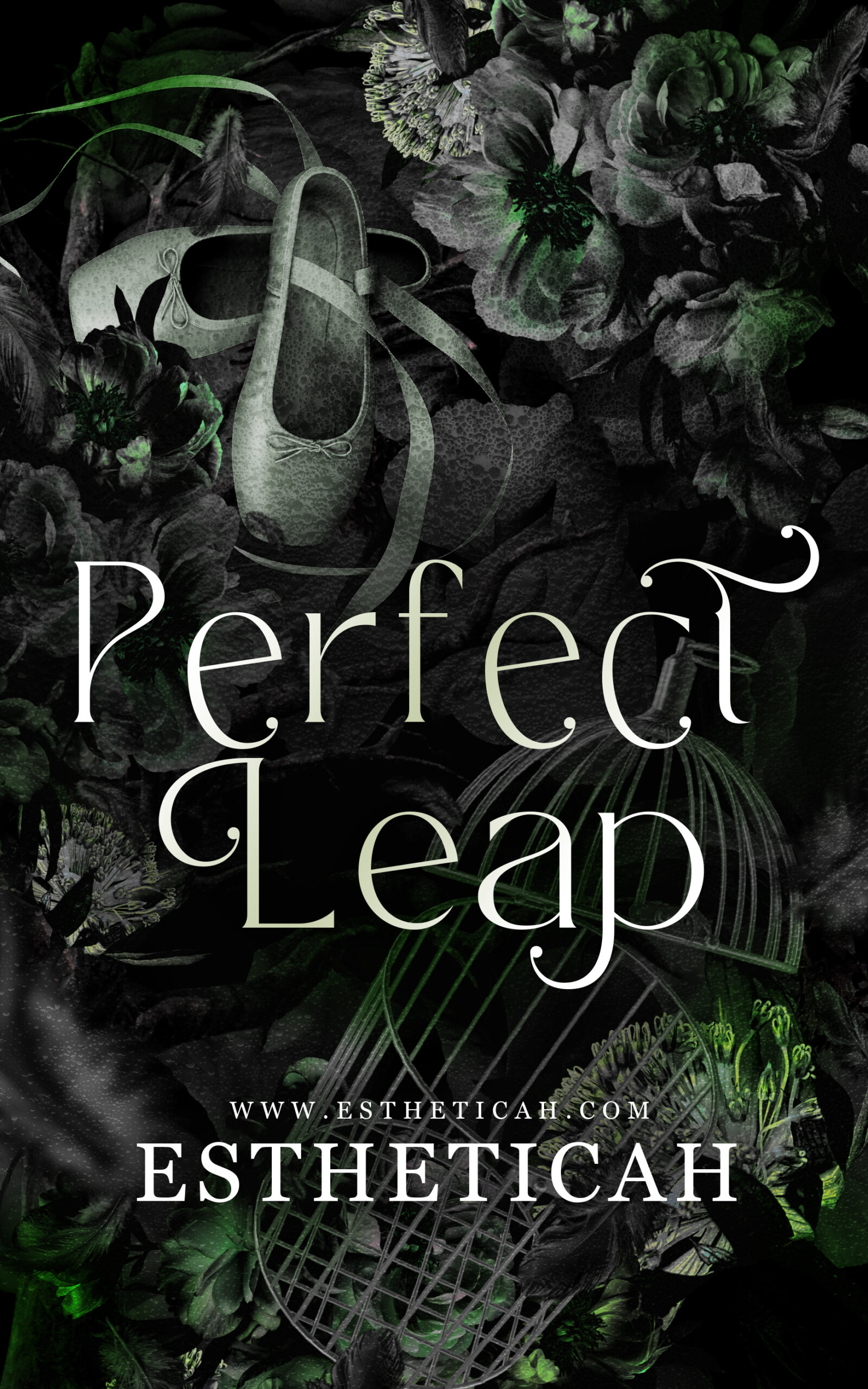 Perfect Leap
